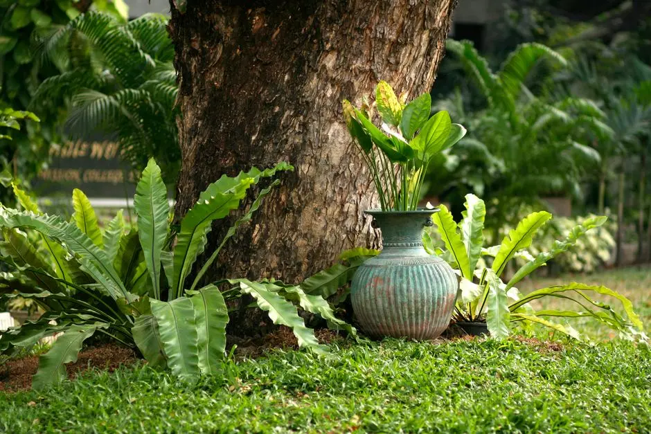 Greens & Outdoors at ABHEE HOSKOTE, Bangalore