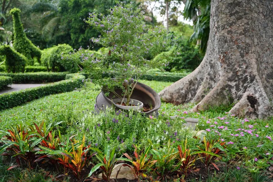 Greens & Outdoors at ABHEE SUNRISE, Kudlu Gate, Bangalore