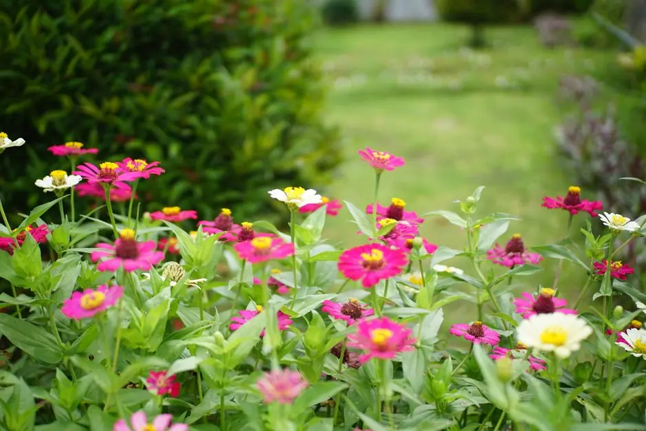 Greens & Outdoors at ABHEE RIVIERA ROYALE, Kudlu Gate, Bangalore
